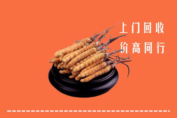 高价求购：达州回收散虫草